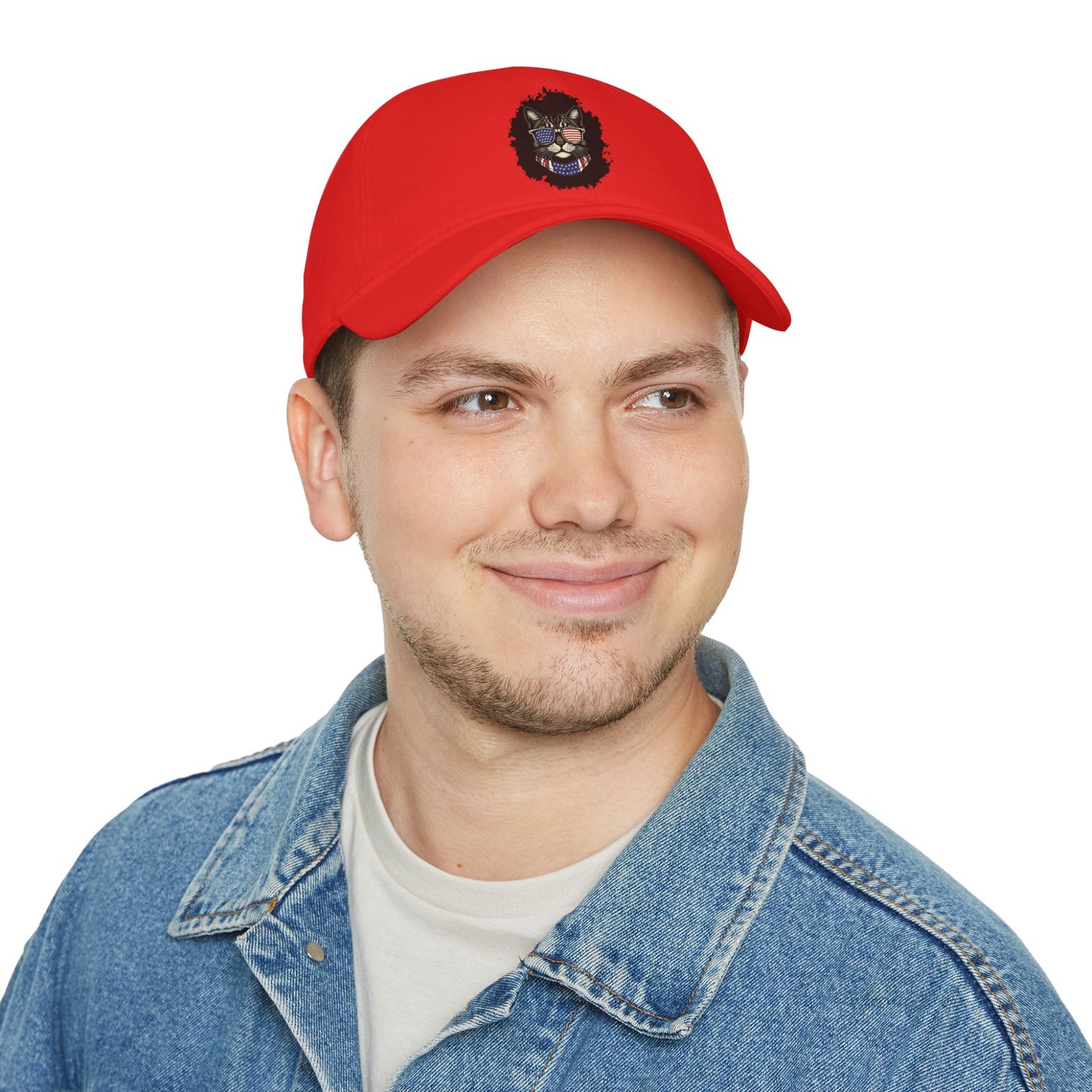 Patriotic Paws - Low Profile Baseball Cap, Cat Lovers Gift